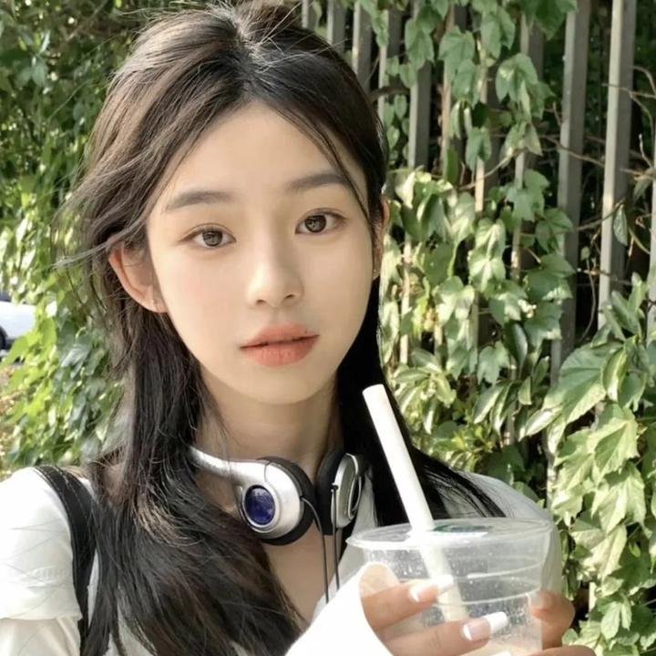 圣殿骑士的宝藏